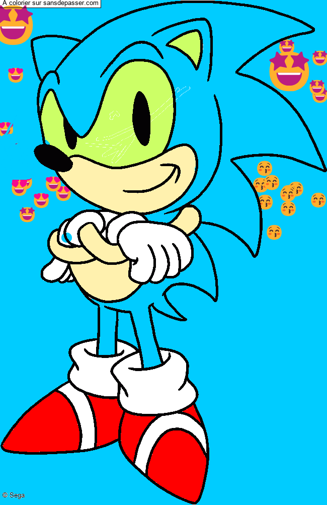 Sonic par un invit&eacute;
