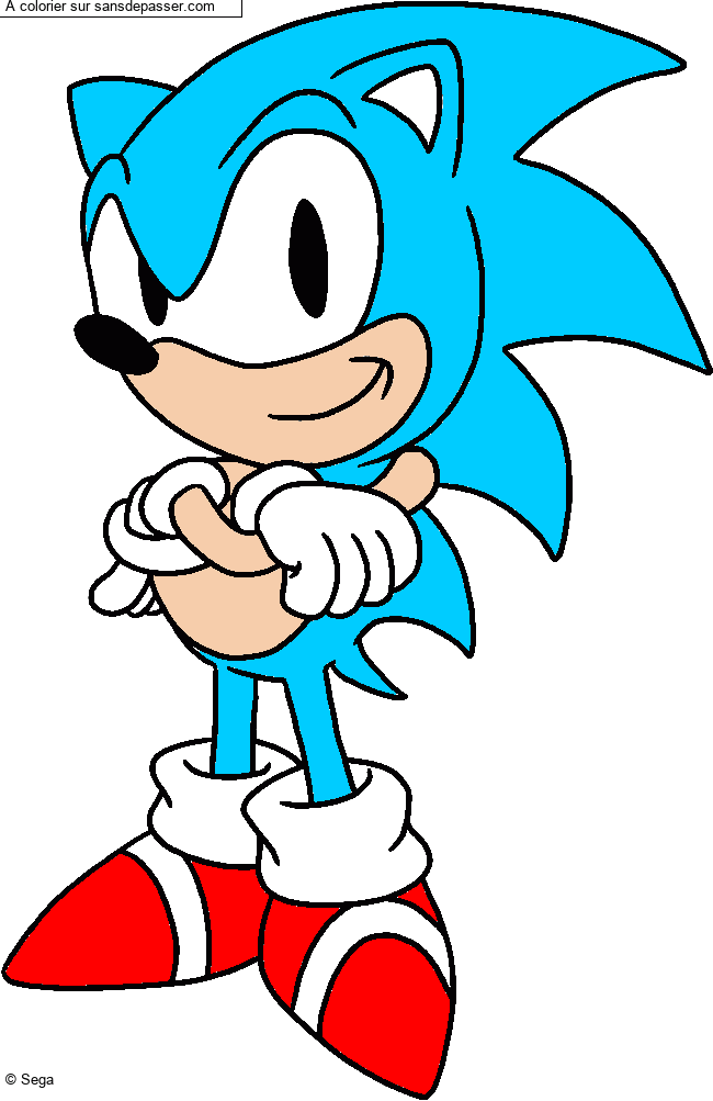 Sonic par un invit&eacute;