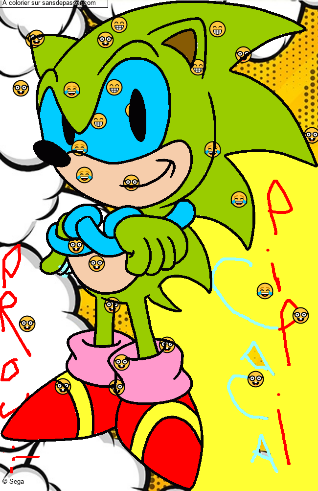 Sonic par un invit&eacute;