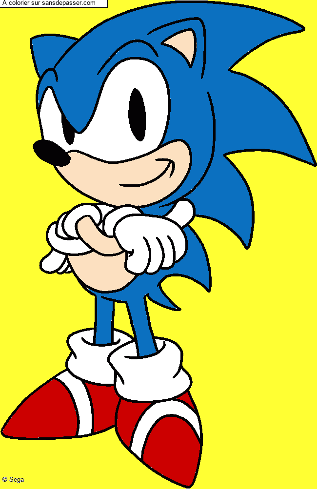 Sonic par un invit&eacute;