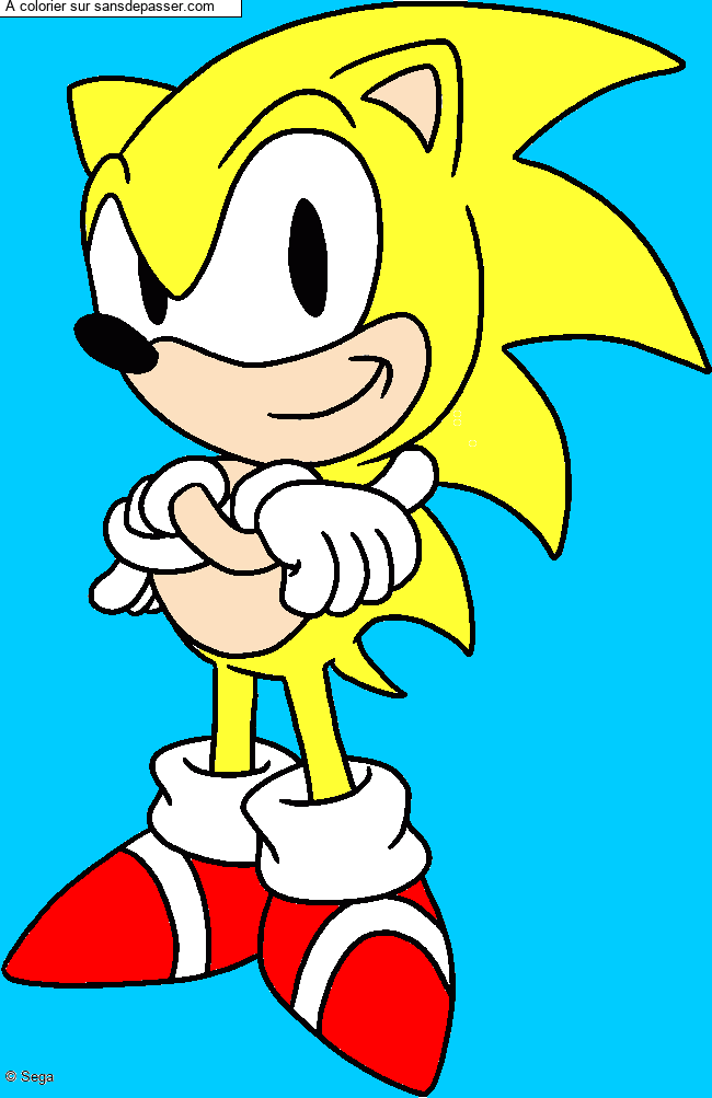 Sonic par un invit&eacute;