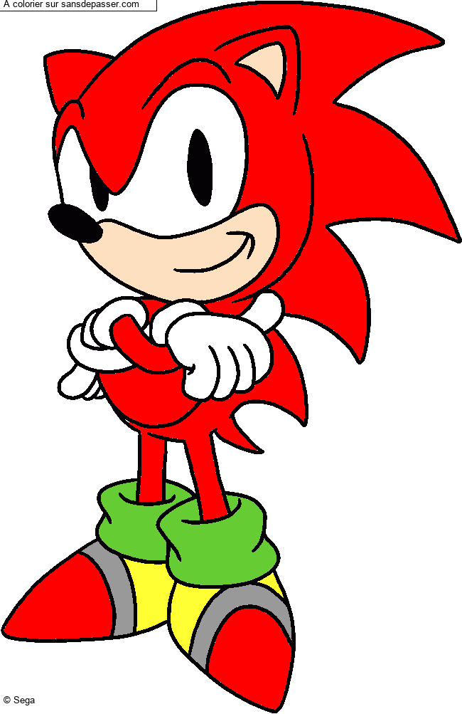 Sonic par un invit&eacute;