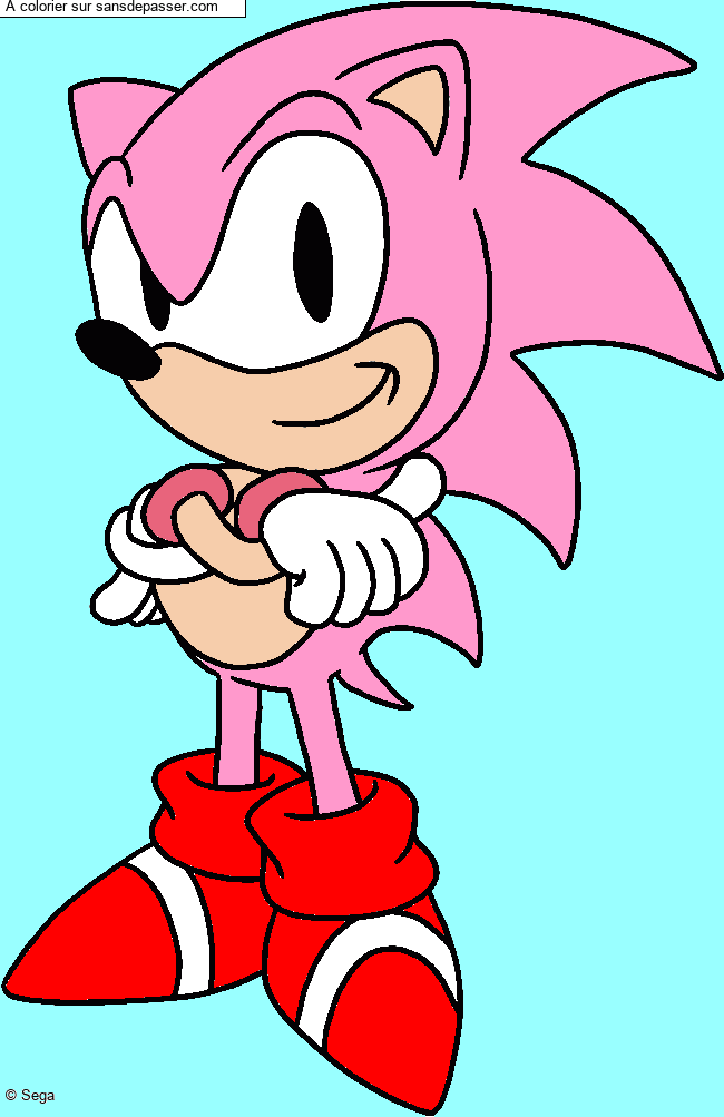 Sonic par un invit&eacute;