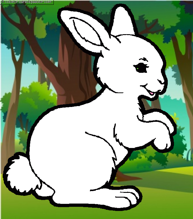 Petit lapin sautillant par Lola