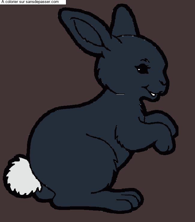 Petit lapin sautillant par un invit&eacute;