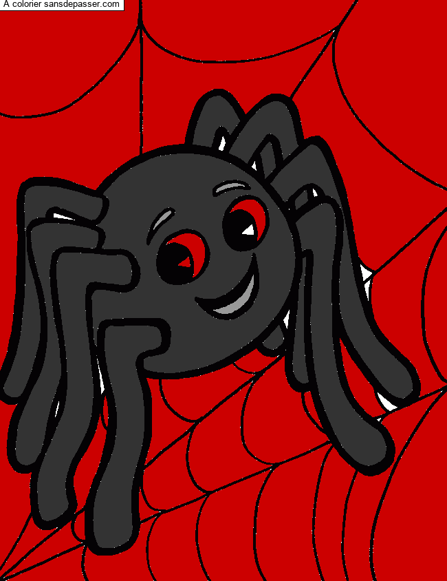 Coloriage Petite araign&eacute;e sur sa toile par un invité