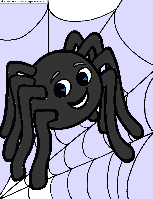 Coloriage Petite araign&eacute;e sur sa toile par gerlo