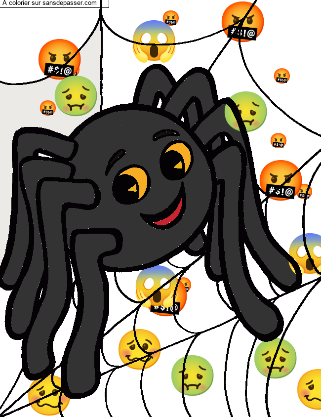 Petite araign&eacute;e sur sa toile par kellychouchou