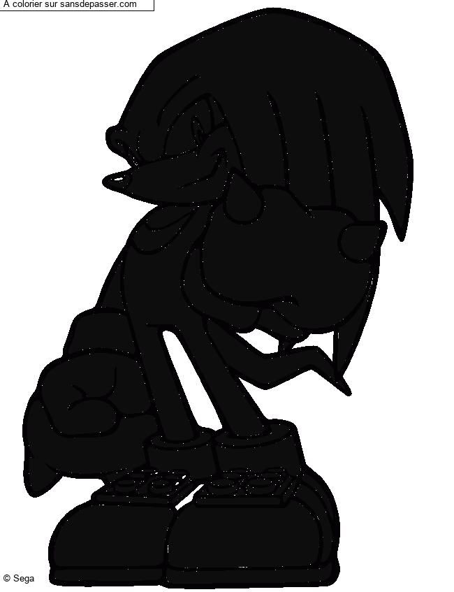 Knuckles montre son poing par un invit&eacute;