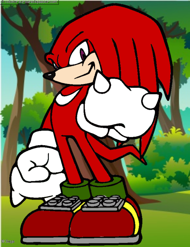 Knuckles montre son poing par un invit&eacute;