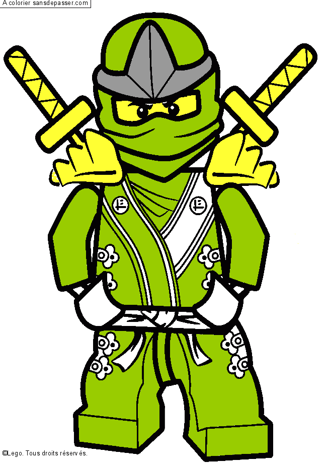 Lloyd - Ninjago vert par un invité