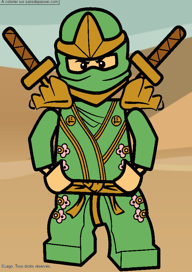 Lloyd - Ninjago vert par un invit&eacute;