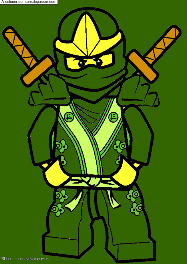 Lloyd - Ninjago vert par un invit&eacute;