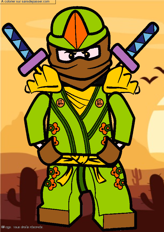 Lloyd - Ninjago vert par un invit&eacute;