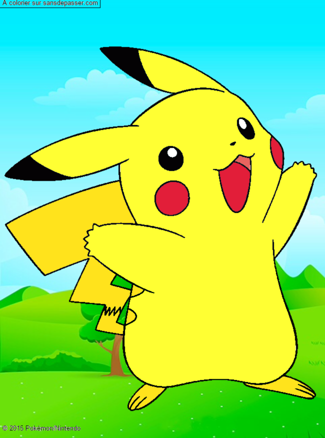 Pikachu par un invit&eacute;