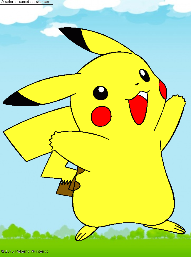 Pikachu par un invit&eacute;