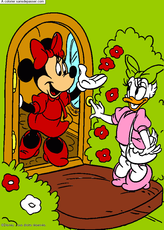 Coloriage Minnie et Daisy par un invité