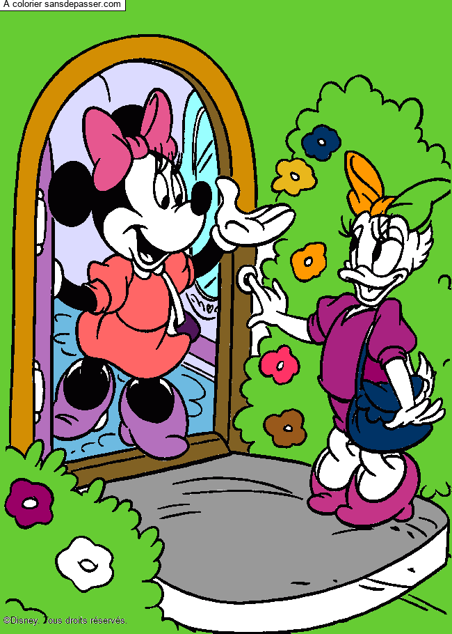 Coloriage Minnie et Daisy par un invité