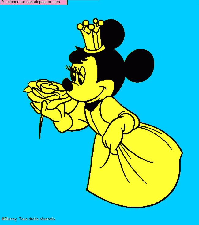 Minnie Princesse par un invit&eacute;