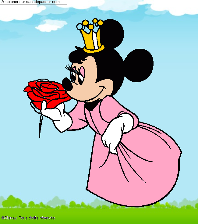 Minnie Princesse par un invit&eacute;