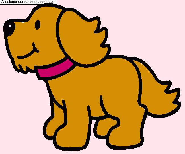 Chien par un invit&eacute;