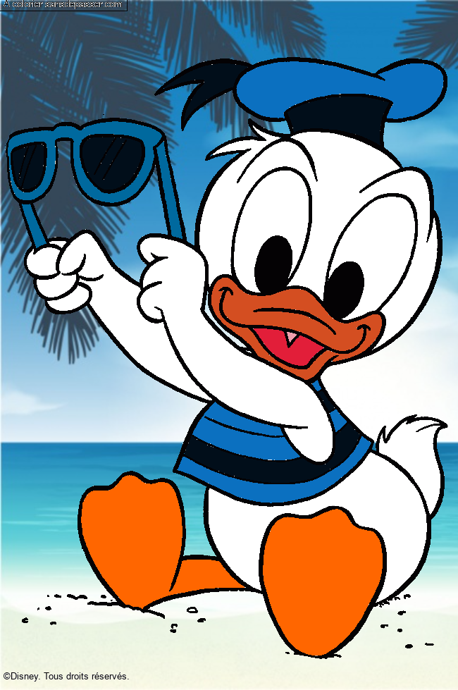 B&eacute;b&eacute; Donald par un invit&eacute;