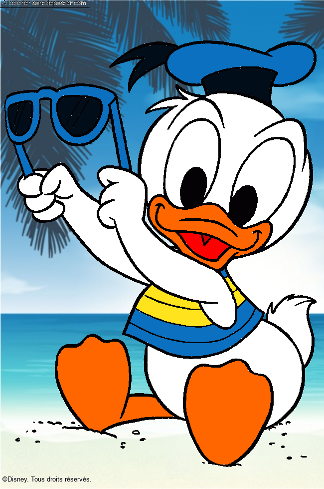 B&eacute;b&eacute; Donald par un invit&eacute;