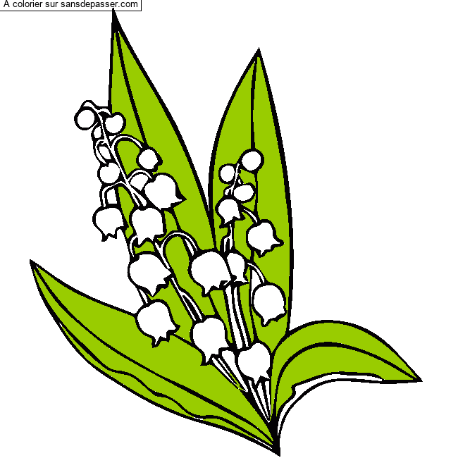 Coloriage Muguet du 1er Mai