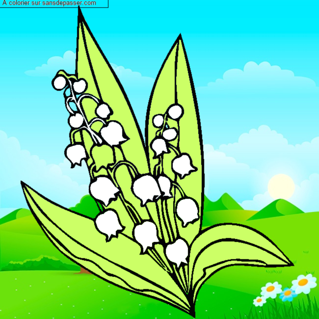 Coloriage Muguet du 1er Mai par un invit&eacute;