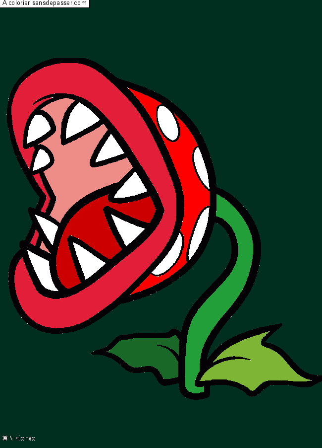 Plante Carnivore par un invit&eacute;