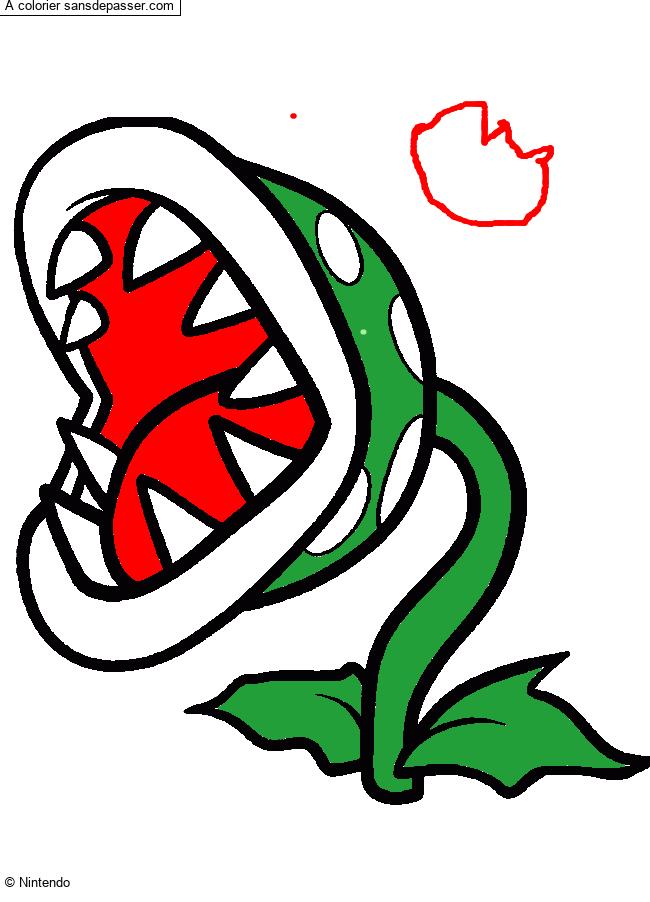 Plante Carnivore par un invit&eacute;
