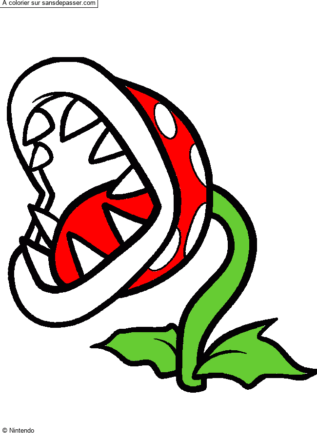 Plante Carnivore par un invit&eacute;