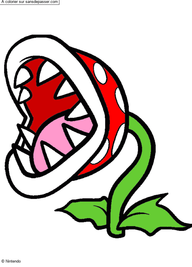 Plante Carnivore par un invit&eacute;
