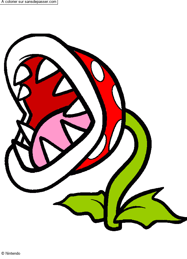 Plante Carnivore par un invit&eacute;