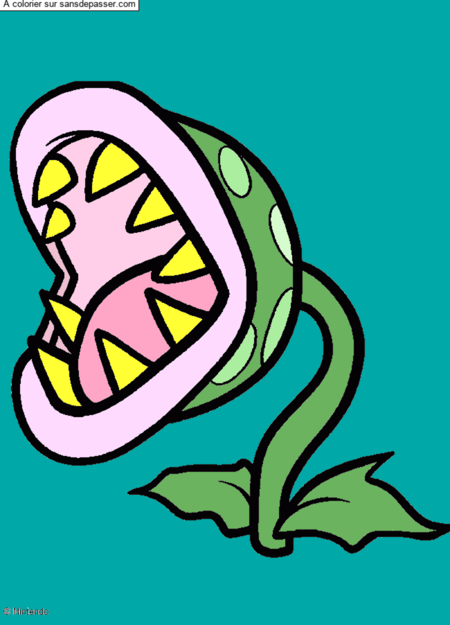 Plante Carnivore par un invit&eacute;