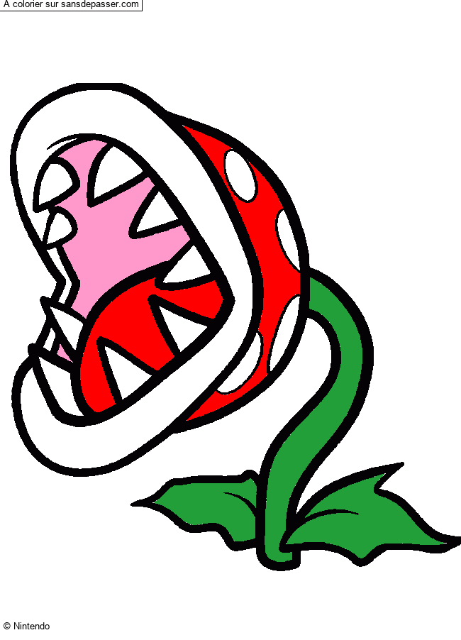 Plante Carnivore par un invit&eacute;