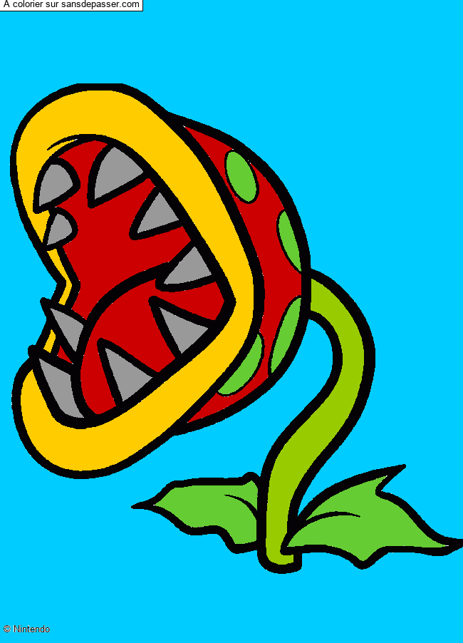 Plante Carnivore par un invit&eacute;