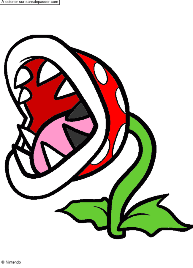 Plante Carnivore par un invit&eacute;
