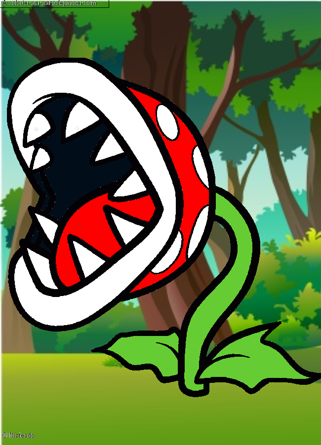 Plante Carnivore par un invit&eacute;