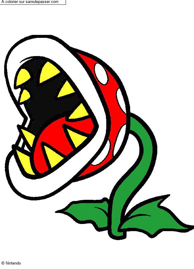 Plante Carnivore par un invit&eacute;