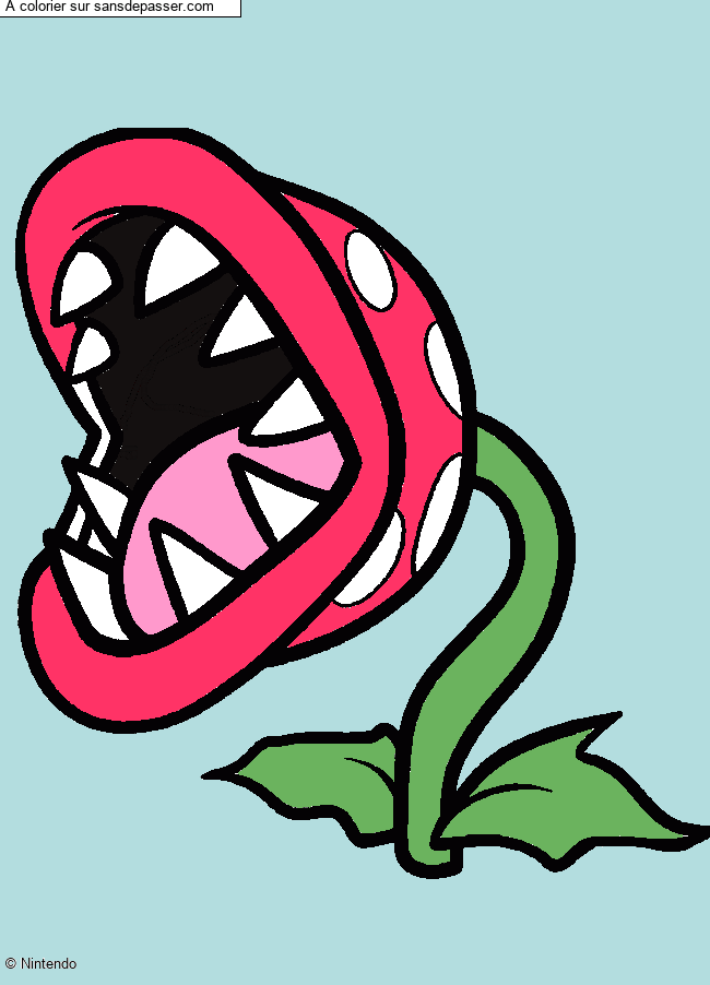 Plante Carnivore par saucayalou