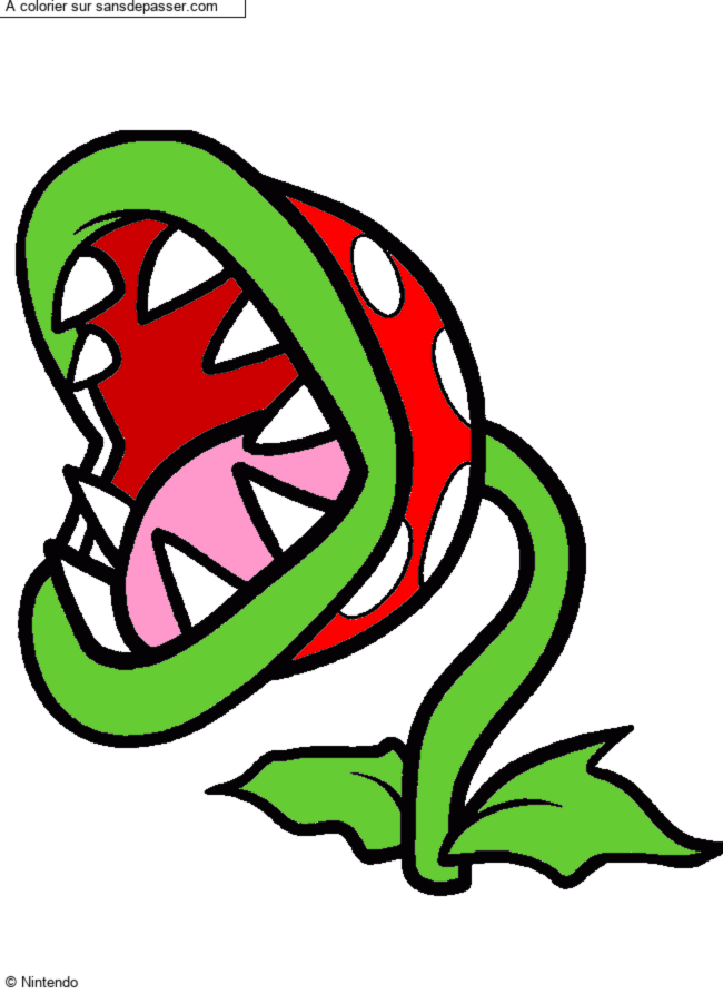 Coloriage Plante Carnivore par un invit&eacute;