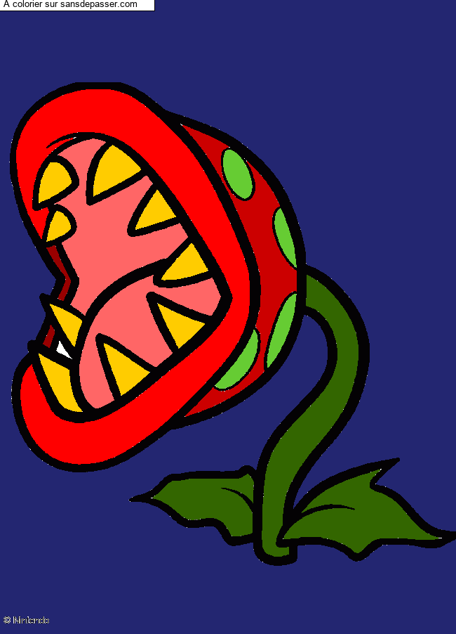 Plante Carnivore par un invit&eacute;