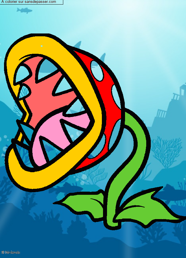 Plante Carnivore par un invit&eacute;