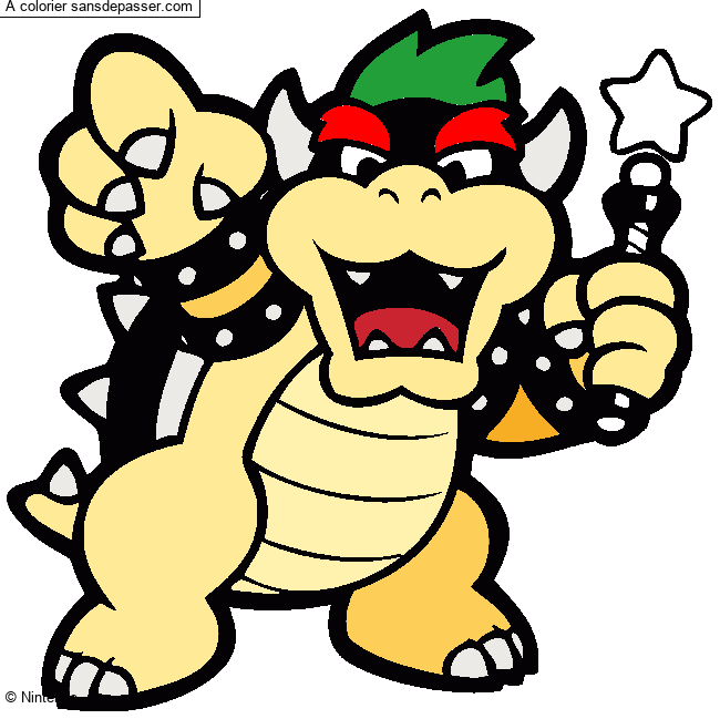 Bowser par un invit&eacute;