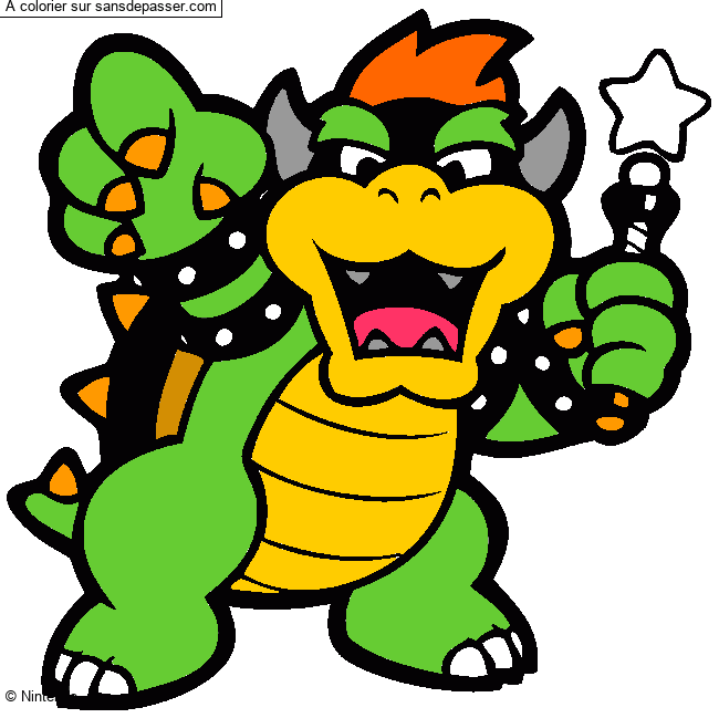 Bowser par un invit&eacute;
