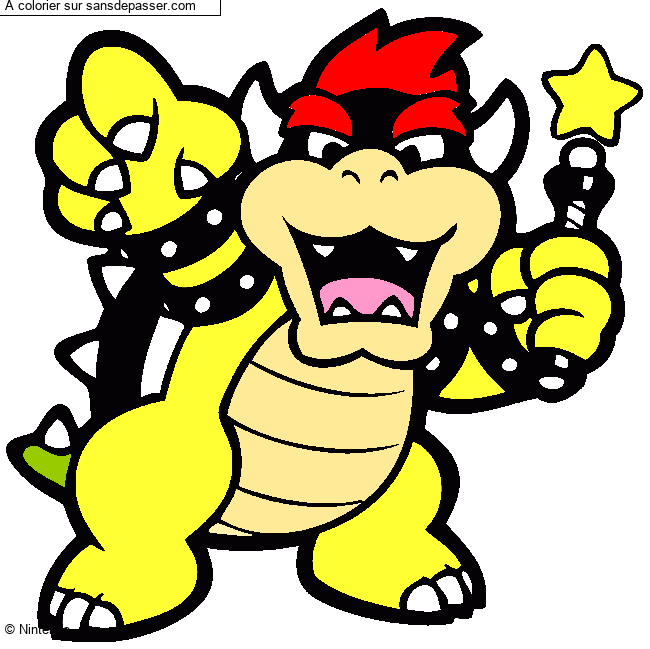 Bowser par saucayalou