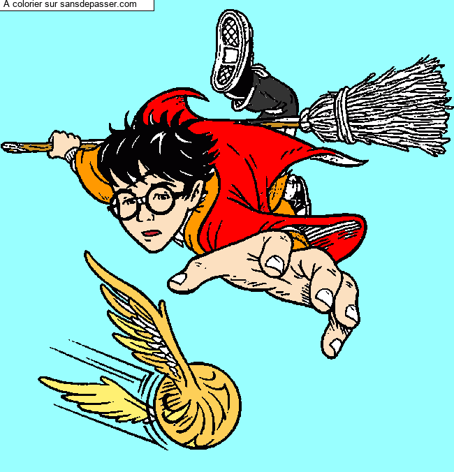 Harry Potter et le match de quidditch par un invit&eacute;