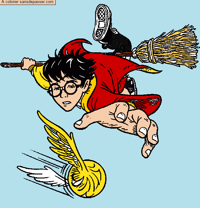 Harry Potter et le match de quidditch par un invit&eacute;