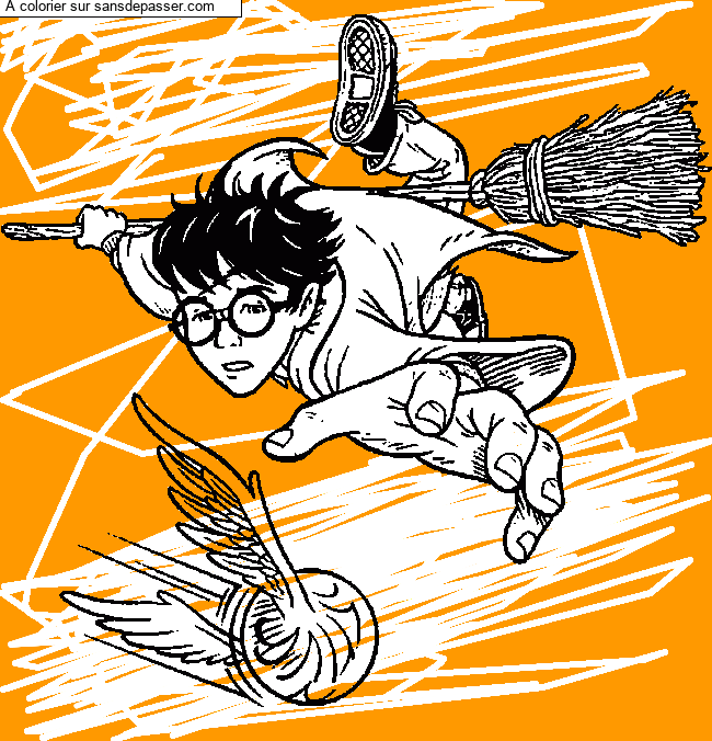 Harry Potter et le match de quidditch par un invit&eacute;